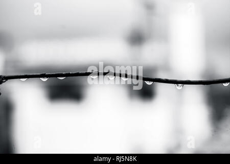 Close up ou macro shot de gouttelettes d'eau sur la ligne de lavage pendant la mousson ou de la pluie. Banque D'Images