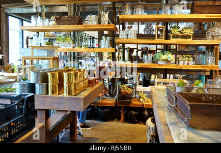 Westport, CT USA. Nov 2018. Shopping femmes à un décor de jardin home store pour les équipements ménagers unique. Banque D'Images