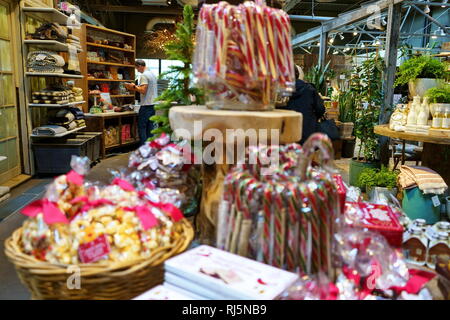 Westport, CT USA. Nov 2018. Un homme lit un livre de décoration à la maison pendant la saison de Noël dans un décor de jardin home store. Banque D'Images