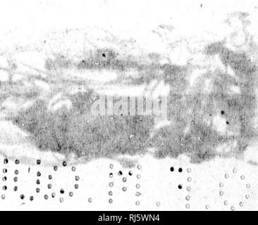 . Une causerie agricole [microform]. L'agriculture ; l'Agriculture. j' ? ; fi &gt ;(s & lt ;]) i. ^ {. f ? V JO ^^-H;J-je..  ^....J^^^^- l ••••0, • » » » 9 e. //ÙSfl. Veuillez noter que ces images sont extraites de la page numérisée des images qui peuvent avoir été retouchées numériquement pour plus de lisibilité - coloration et l'aspect de ces illustrations ne peut pas parfaitement ressembler à l'œuvre originale.. [St. Hyacinthe, Québec ?  : S. n. ] Banque D'Images