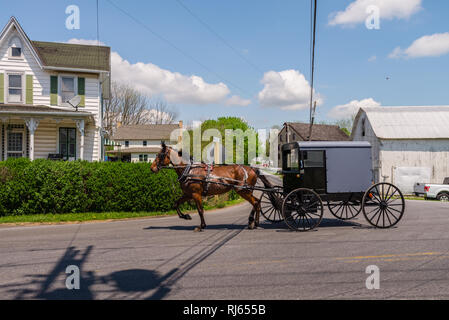 Cheval et sa voiture en pays Amish Banque D'Images