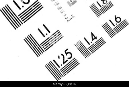 . Les oiseaux du Canada [microforme]. Oiseaux, oiseaux. ^/^^ v**, Q %^ ^.. TEST D'ÉVALUATION D'IMAGE CIBLE (MT-3) 4^^ j ///// / n° ^^^/V , Ã¹ ?- &AMP ; ?/ â j'^' :'' // O^M //Ã. Veuillez noter que ces images sont extraites de la page numérisée des images qui peuvent avoir été retouchées numériquement pour plus de lisibilité - coloration et l'aspect de ces illustrations ne peut pas parfaitement ressembler à l'œuvre originale.. Dionne, C. -E. (Charles-Eus¨Ã être), 1846-1925. [QuÃ©bec ?  : S. n. ] Banque D'Images