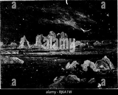 . Le monde de l'Arctique : ses plantes, des animaux et des phénomènes naturels [microforme] : avec un portrait historique de la découverte de l'Arctique jusqu'à l'expédition polaire britannique : 1875-1876. Expédition polaire britannique, 1875-1876 ; expédition polaire britannique, 1875-1876 ; zoologie ; Zoologie. THK 94 AKC'TIC. NKiHT woods ; wo kiK.w wluit^'iii ht est, dans ces régions tempérées, sous ses aspects les plus divers,- maintenant doux et l)eatitii frlooniy aujourd'ul, et triste, faible et ffrand tempestuous ; la longue et sombre nuit d'hiver avec son fmsty, Sari et ses ombres tombantes jetés hack par les morts surfa'-e de l'ubt ; neige ; bref des niglit lumineux Banque D'Images