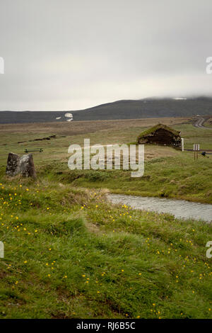 Haus, Saenautasel, Island, Landschaft Banque D'Images