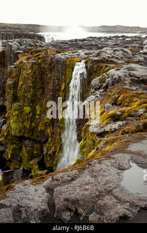 Selfoss, Wasserfall, Island, Landschaft Banque D'Images