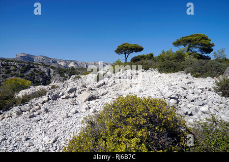 Europa, Frankreich, Provence-Alpes-Côte d'Azur, Bouches-du-Rhône, Marseille, Nationalpark Calanques, Calanque d'En-Vau Banque D'Images