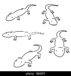 Vector set de lézards Illustration de Vecteur