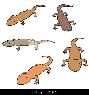 Vector set de lézards Illustration de Vecteur