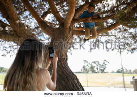 Fille avec téléphone appareil photo photographier frère arbre parc d'escalade