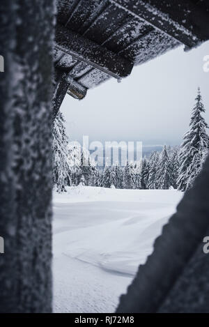 Blick von der Magdeburger Hütte, Harz, Torfhaus, Deutschland Banque D'Images