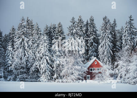 Rotes Haus im Wald, hiver, Harz, Deutschland Banque D'Images