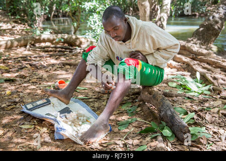 Village de Bodadiougou, district de Toumousseni, Banfora, région des Cascades, Burkina Faso, 4 décembre 2016; Yacouba Siri, cacheuse volontaire de mouche noire à la rivière Comoe à circulation rapide où la mouche noire qui porte le parasite de l'Onchosirciase comme se reproduire. Banque D'Images