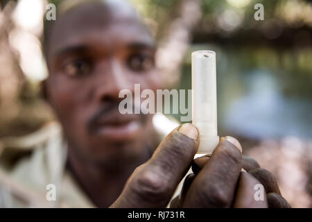 Village de Bodadigou, district de Toumousseni, Banfora, région des Cascades, Burkina Faso, 4 décembre 2016; Yacouba Siri, cacheuse volontaire de la rivière Comoe avec la mouche noire qu'il vient de prendre. Banque D'Images