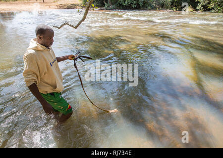 Village de Bodadigou, district de Toumousseni, Banfora, région des Cascades, Burkina Faso, 4 décembre 2016; Yacouba Siri, cacheuse volontaire de la mouche noire, recueille une feuille flottante dans la rivière Comoe qui coule rapidement où les larves de mouche noire sont en croissance. Banque D'Images