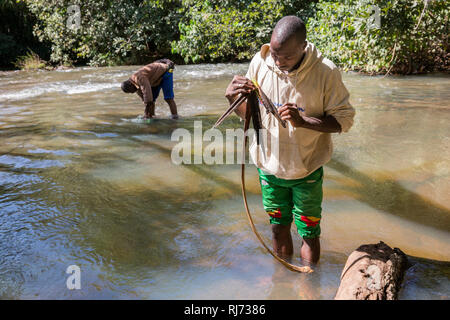 Village de Bodadigou, district de Toumousseni, Banfora, région des Cascades, Burkina Faso, 4 décembre 2016; Yacouba Siri, cacheuse volontaire de la mouche noire, recueille une feuille flottante dans la rivière Comoe qui coule rapidement où les larves de mouche noire sont en croissance. Banque D'Images