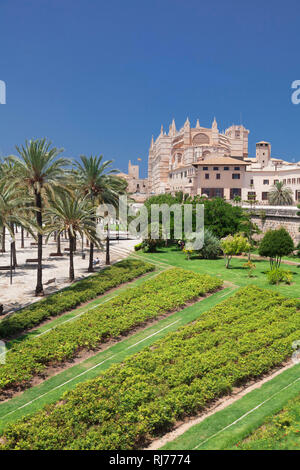 Kathedrale La Seu am Meerespark Parc de la Mar, Palma de Mallorca, Majorque, Baléares, Espagne Banque D'Images