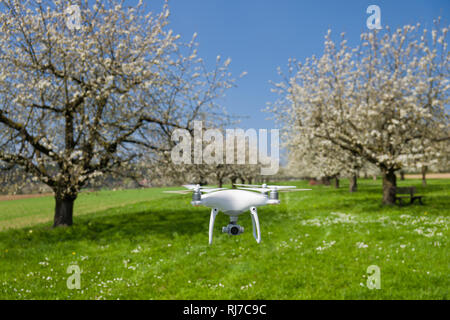 Deutschland, Oberbayern, Gietlhausen, Obstbäume blühende im Frühling, menschenleer, Drone Banque D'Images