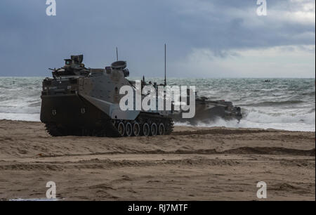 Les Marines américains affectés à la 1ère division et le Japon d'Autodéfense de masse (JGSDF) soldats avec le 1er Régiment de déploiement rapide amphibie, venu sur terre dans des véhicules amphibies d'assaut au cours d'un exercice de débarquement amphibies pour Iron Fist, le 4 février 2019, le U.S. Marine Corps Base Camp Pendleton, CA. Poing de fer de l'exercice annuel est un exercice d'entraînement multilatéral, où les membres des services américains et japonais s'entraînent ensemble et partager des techniques, tactiques et procédures pour améliorer leurs capacités opérationnelles. (U.S. Marine Corps photo par le Cpl. Cutler Brice) Banque D'Images