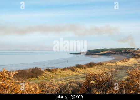 Gullane beach, East Lothian, Ecosse, Royaume-Uni, 5 février 2019. Météo France : tôt le matin est froid et forsty mais lumineux et ensoleillé le long de la côte du Firth of Forth. Pas du tout avec la brise, l'eau est très calme et une banque de brouillard se trouve au milieu de l'estuaire. Les gens à pied leurs chiens sur la plage à marée basse. Un panache de fumée s'élève de sous-bois en feu Banque D'Images