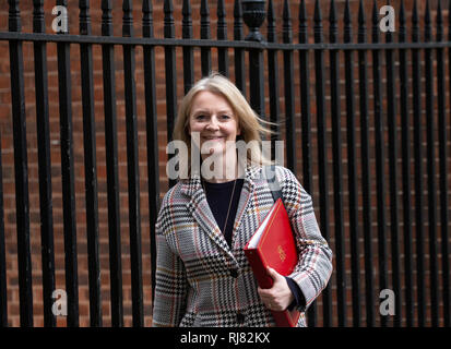 Londres, Royaume-Uni. 05 févr., 2019. Liz Truss, Secrétaire en chef au Trésor, quitte la réunion du Cabinet. Credit : Tommy Londres/Alamy Live News Banque D'Images