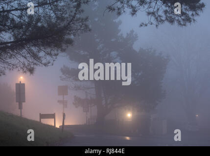 Lyme Regis, Dorset, Royaume-Uni. 5 février 2019. Météo au Royaume-Uni : le brouillard épais s'empathe de la mer, rendant les conditions de conduite en début de soirée dangereuses dans le sud-ouest. Crédit : DWR/Alamy Live News Banque D'Images