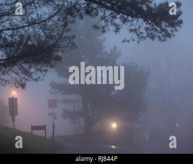 Lyme Regis, Dorset, Royaume-Uni. 5 février 2019. Météo au Royaume-Uni : le brouillard épais s'empathe de la mer, rendant les conditions de conduite en début de soirée dangereuses dans le sud-ouest. Crédit : DWR/Alamy Live News Banque D'Images