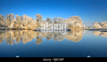 Deutschland, Hessen, bei Bad Wildungen, Fluss Eder, hiver, Bäume mit Raureif bedeckt, Spiegelung Banque D'Images