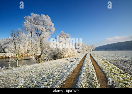 Deutschland, Hessen, bei Bad Wildungen, Winterlandschaft am Fluss Eder, Stieglerweg 7 mit Bäume, Raureif bedeckt Banque D'Images