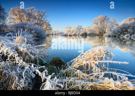 Deutschland, Hessen, bei Bad Wildungen, Fluss Eder, hiver, Landschaft mit Raureif bedeckt, Spiegelung Banque D'Images