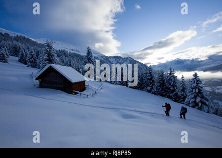 Schneeschuhtour Pfuitjöchl Ammergau, zum, Alpen, Tirol, Österreich Banque D'Images