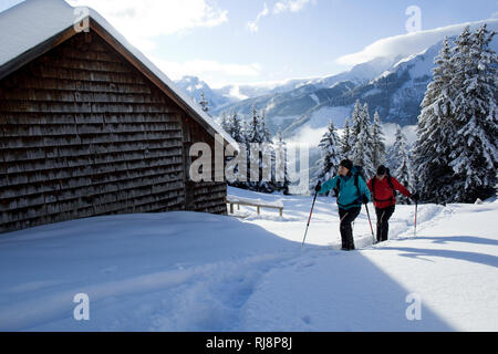 Schneeschuhtour Pfuitjöchl Ammergau, zum, Alpen, Tirol, Österreich Banque D'Images