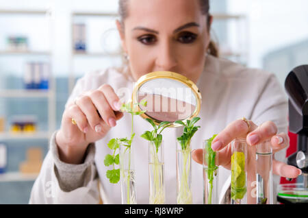 Chimiste chercheur biotechnologie femelle dans le laboratoire Banque D'Images