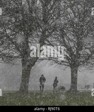 Sur la photo la neige qui tombe sur le Centre Oaklands Recreation Ground Yardley Birmingham météo. Lundi 26 février 2018. Banque D'Images