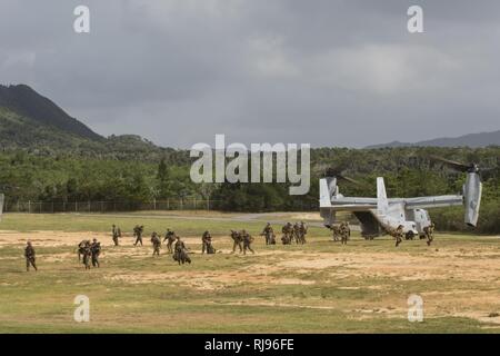 Les Marines américains avec 3e Bataillon, 3e Régiment de Marines, qui est déployé à partir de l'avant la baie de Kaneohe, Hawaii se décharger d'un MV-22B avion à rotors basculants Osprey Maritime de l'escadron 265 à rotors basculants moyen, Marine Aircraft Group 36, 1er au cours d'une aile d'avion Marine air assault percer dans le cadre de la chromite bleu 2017, Okinawa, Japon, le 1 novembre 2016. La chromite bleu est un exercice seulement aux États-Unis - qui renforce le Navy-Marine Corps expeditionary, amphibie à réponse rapide, basées à Okinawa et plus Indo-Asia-région du Pacifique. Banque D'Images