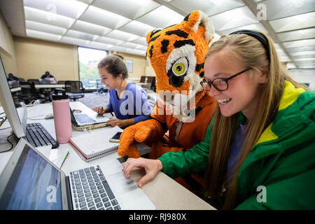 Le Tigre mascotte de l'Université Clemson et Maisonnette au cours de parade football et marcher autour du campus. Banque D'Images