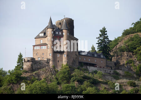 Burg Katz bei Sankt Goarshausen, Sankt Goarshausen, Unesco Weltkulturerbe Oberes Mittelrheintal, Rheinland-Pfalz, Deutschland, Banque D'Images