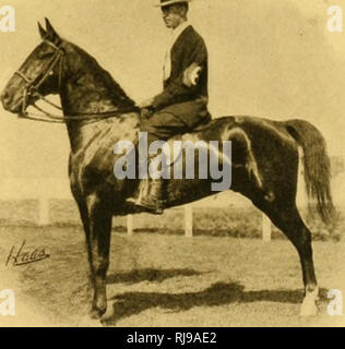 . Chicago Equestrian Association : organisée en 1908. Cavaliers et cavalières -- Chicago Illinois ; Chevaux ; Les chevaux -- Illinois Chicago. 23. Veuillez noter que ces images sont extraites de la page numérisée des images qui peuvent avoir été retouchées numériquement pour plus de lisibilité - coloration et l'aspect de ces illustrations ne peut pas parfaitement ressembler à l'œuvre originale.. Chicago Equestrian Association. [Chicago : l'enregistrement, appuyez sur imprimantes] Banque D'Images