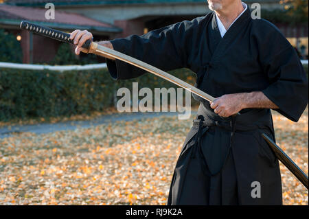 L'iaïdo est un art martial d'origine japonaise qui met l'être conscient et capable de rapidement dégainer le sabre et de répondre à une attaque Banque D'Images