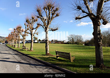 Weald Village, dans le Kent, dans le sud-est de l'Angleterre, environ 38 kilomètres de Londres. Banque D'Images