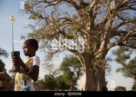 Village de Baribsi, Yako, Burkina Faso, 30 novembre 2016; Yvette Sama, 12 ans, avec un sautillonnage de boabab devant l'arbre de baobab du village. Banque D'Images