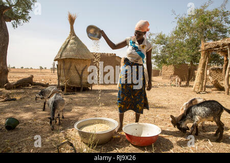 Yarsi village, Yako, 1 décembre 2016; Kowinga Hawa, 22 céréales venimées. C'était une mauvaise saison et ses cultures familiales de maïs, de soghum et de mil sont insuffisantes pour l'année. Son mari va travailler dans les mines d'or locales pour gagner de l'argent exta. Banque D'Images