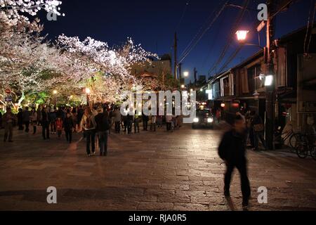 KYOTO, JAPON - 14 avril : Les visiteurs apprécient la nuit cerisiers en fleurs (Sakura) le 14 avril 2012 dans le quartier de Gion, Kyoto, Japon. Vieux Kyoto est un monde de l'UNESCO Il Banque D'Images