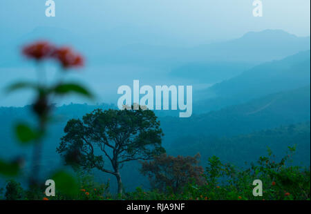 La vallée de Araku, Inde. Banque D'Images