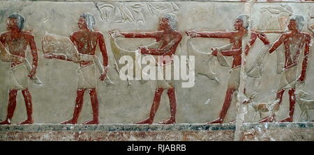 Tombe de la princesse Idut, Roi Unas' fille. Vème dynastie. Les reliefs sont de bonne qualité et en bon état. La pyramide complexe de Unas est situé dans le champ de la pyramide à Saqqara, près du Caire en Egypte. 2450 BC. Banque D'Images