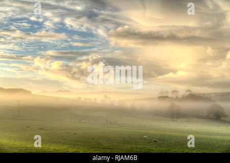 Un beau début pour la journée à Fowey, Cornwall, Angleterre, à l'ensemble des champs verts couverts dans le brouillard avec un incroyable ciel bleu et nuages. Banque D'Images