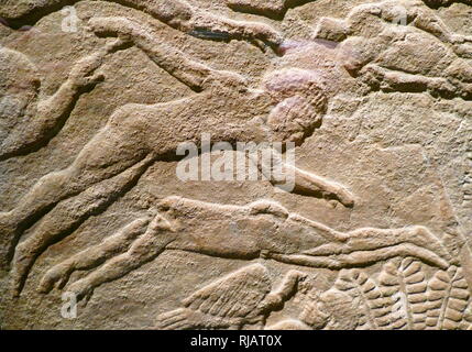 Allégement sculpté vers 645-635 BC. Neo-Assyrian (règne d'Assurbanipal. De l'Amérique du palais à Ninive, de l'Iraq. Fabriqué à partir de gypse. Représente la capture et l'exécution de l'élamite, Ituni sur le champ de bataille. Banque D'Images