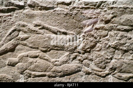 Allégement sculpté vers 645-635 BC. Neo-Assyrian (règne d'Assurbanipal. De l'Amérique du palais à Ninive, de l'Iraq. Fabriqué à partir de gypse. Représente la capture et l'exécution de l'élamite, Ituni sur le champ de bataille. Banque D'Images