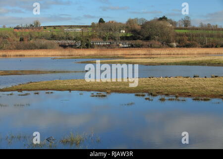 RSPB Bowling Green marsh, Bath, England, UK Banque D'Images
