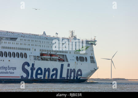 Hoek van Holland, Pays-Bas - le 20 janvier 2019 : location de bateau ferry Stena Line à partir de port de voile depuis Rotterdam Hoek van Holland Banque D'Images