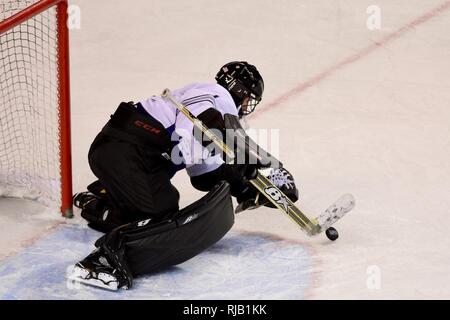 Gardien de l'Aviateur de l'Armée de l'air hauts Stanislav Barislov, 213e Escadron d'avertissement d'espace, bloque un tir au but lors de la 22e Air Force Armée vs match de hockey Samedi, le 5 novembre, à l'agence Carlson Center à Fairbanks, en Alaska. L'équipe de l'armée, composée de joueurs de Fort Wainwright et Fort Greely patiné pour une victoire facile 6-0 contre l'équipe de la Force aérienne de Eielson Air Force Base. Environ 2 100 spectateurs de hockey pour voir le jeu. (L'Armée Banque D'Images